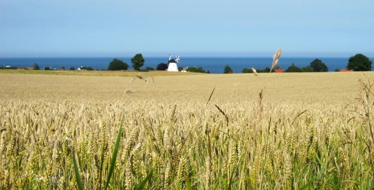 Die Landpartie: Reisebericht: Bornholm - eine süße Versuchung