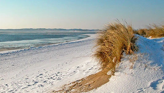Die Landpartie: Reisetipp: Silvester am Meer