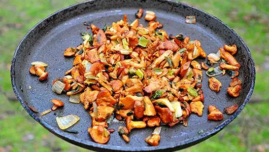 Die Landpartie: Rezept für eine herbstliche Waldpilzpfanne